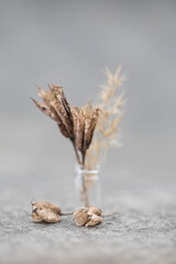 Wildflowers dried flowers in a small vase close-up on a gray background. An unusual bouquet of natural small dry flowers in a glass flask for the design of a postcard with copy space.