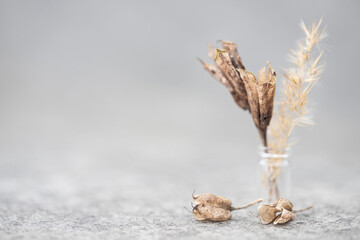 Wildflowers dried flowers in a small vase close-up on a gray background. An unusual bouquet of natural small dry golden flowers in a glass flask for the design of a postcard with copy space.