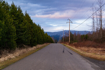 Fototapeta premium road in the countryside