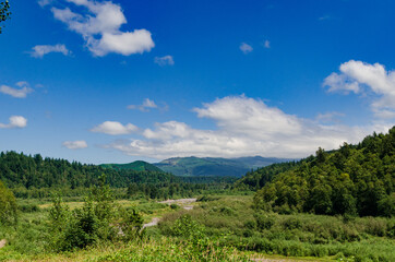 Obraz premium landscape with sky