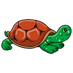 turtle vector illustration,isolated on white background