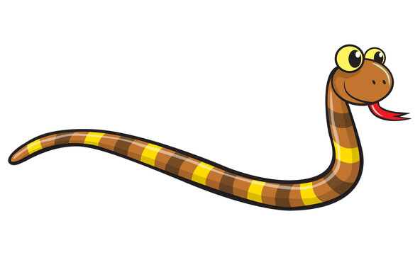 snake vector illustration,isolated on white background