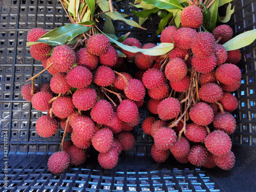 Wall mural close up of fresh red lychee fruits for background