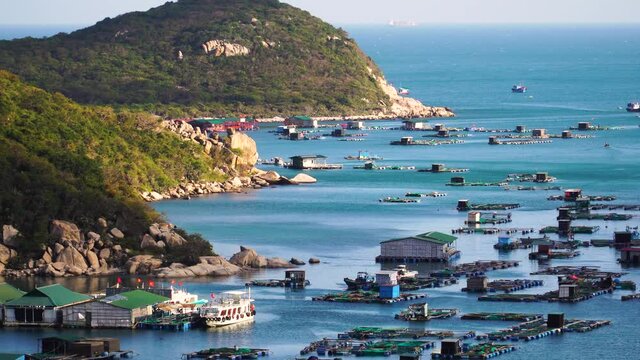 Industrial fish growing in coastal cages, mariculture in Vinh Hy, Vietnam