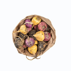 Mix of Maca roots (black, red, white)