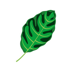 green leaf tropical