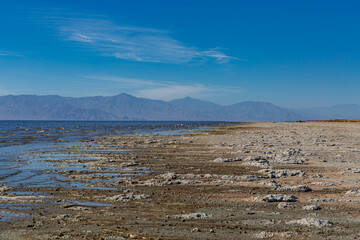 salton sea