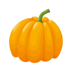 Isolated pumpkin on white.