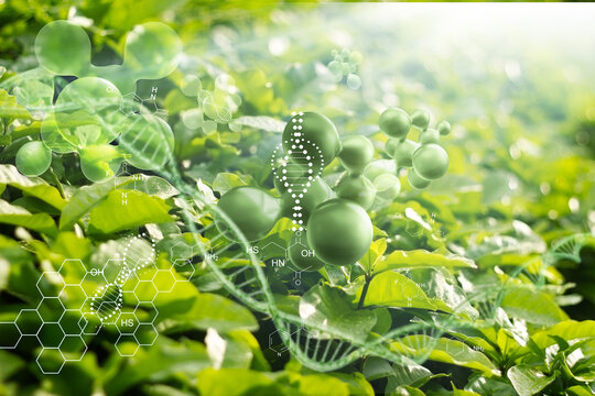 Biology nature and science. Plants with biochemistry structure on green background. dna and molecule. 3D render.