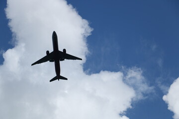 plane in the sky