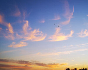 sunset in the sky