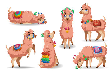 Cute llama character in different poses isolated on white background. Vector set of cartoon mascot, adorable alpaca sitting, sleep, eat grass, sad and happy. Creative emoji set, funny lama chatbot © klyaksun