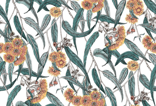 Seamless Pattern With Eucalyptus Flowers And Leaves. Eucalyptus Grove. Gum Tree Forest.