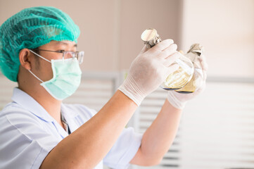 Selectve focus scientist making laboratory in at hospital.Researcher working in the herbal cannabis lab unit.Natural medical concept.