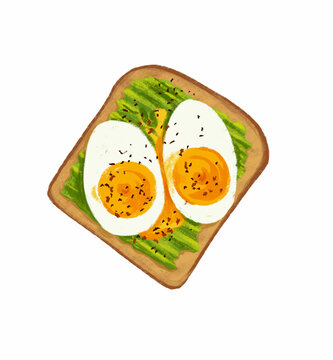 Drawing Toast With Egg And Smashed Avocado