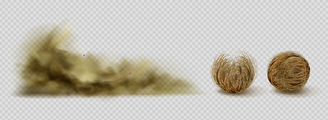 Tumbleweeds and sandstorm cloud, desert plants and sand dust. Dry bush or twigs in shape of balls, arid climate design elements isolated on transparent background, Realistic 3d vector clip art, set © klyaksun