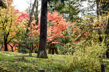京都、蹴上げの紅葉と木造の建物等
