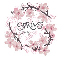 Sakura blooming, cherry tree blossom spring banner