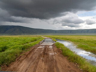 Ngorongoro Crater, Tanzania, Africa - March 1, 2020: Heavy rain moving across ngorongoro crater