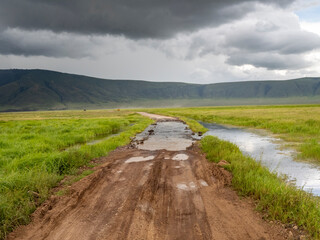Ngorongoro Crater, Tanzania, Africa - March 1, 2020: Heavy rain moving across ngorongoro crater