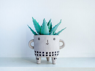 DIY cute ceramic plant pot on white wall background
