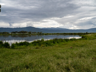 Ngorongoro Crater, Tanzania, Africa - March 1, 2020: Calm lake in Ngorongoro Crater