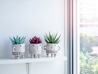 DIY cute ceramic plant pot on white wall background
