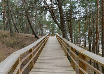 a wooden footbridge, pine forest, unspoken and cloudy winter day in nature