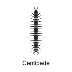 Centipede vector black icon. Vector illustration pest insect centipede on white background. Isolated black illustration icon of pest insect.