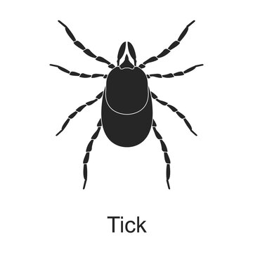 Tick vector black icon. Vector illustration pest insect tick on white background. Isolated black illustration icon of pest insect.