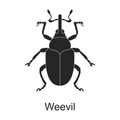 Weevil vector black icon. Vector illustration pest insect weevil on white background. Isolated black illustration icon of pest insect.