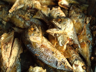 Close-up fried mackerel fish. The Most Popular fish menu in Thailand. Selective Focus.