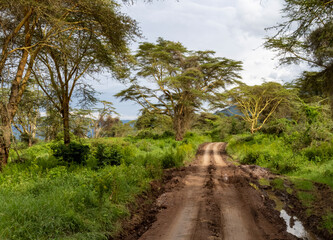 Ngorongoro Crater, Tanzania, Africa - March 1, 2020: Dirt road through Ngorongoro Crater
