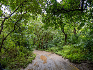 Lake Manyara, Tanzania, Africa - March 2, 2020: Road through Lake Maynara