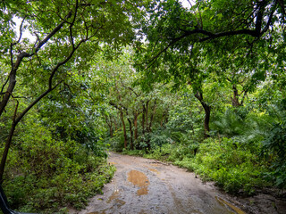 Lake Manyara, Tanzania, Africa - March 2, 2020: Road through Lake Maynara