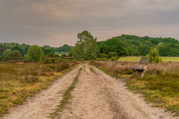 Fototapeta premium A bench with a view at the evening landscape of the Lueneburg Heath near Oberhaverbeck, Lower Saxony, Germany