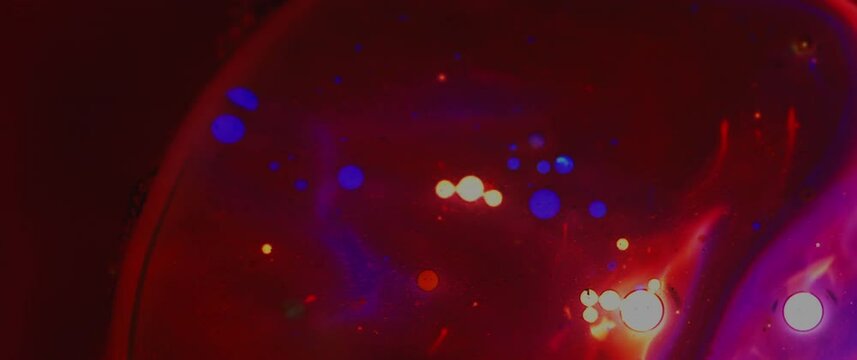 Macro Textures with Vibrant Neon Color Palette. Abstract Background Made with Oil Mixed with Dye, Ink, and Paint.