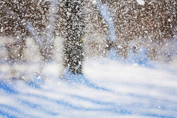 Snowfall Winter snow. Snow texture. Texture for design. Snowy white texture. Snowflakes.