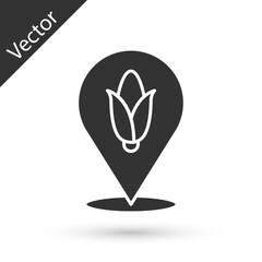 Grey Location corn icon isolated on white background. Vector