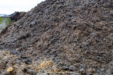 Large manure hump, from horse manure in the yard. Close-up of pile of manure in the countryside. Detail of heap of manure in field in the yard. Traditional rural scene