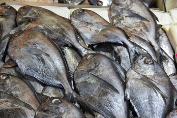 Fish in Mercado Central, Central market in Santiago, Chile