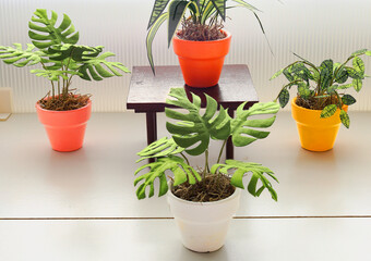 1:6 scale plants in a pot on a 1:6 scale table