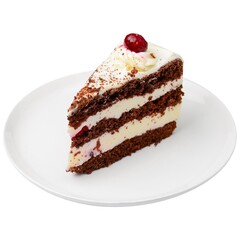One piece of chocolate cake isolated on white. Sweet dessert for tea or coffee time isolate
