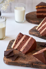 Chocolate cake on white background. Side view