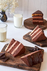 Chocolate cake on white background. Side view
