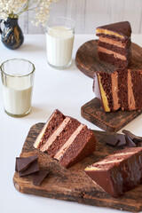 Chocolate cake on white background. Side view