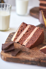 Chocolate cake on white background. Side view
