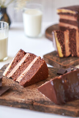 Chocolate cake on white background. Side view