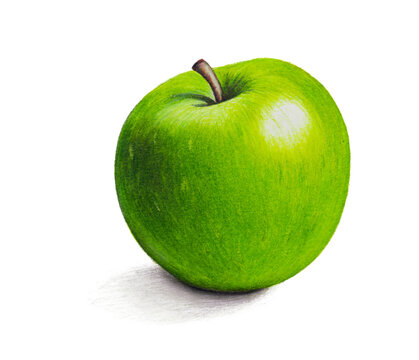 ripe picturesque green apple - drawing with colored pencils hand painted illustration. isolated on white background