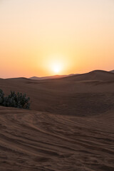 Landscape of desert dunes at sunset - 428733711
